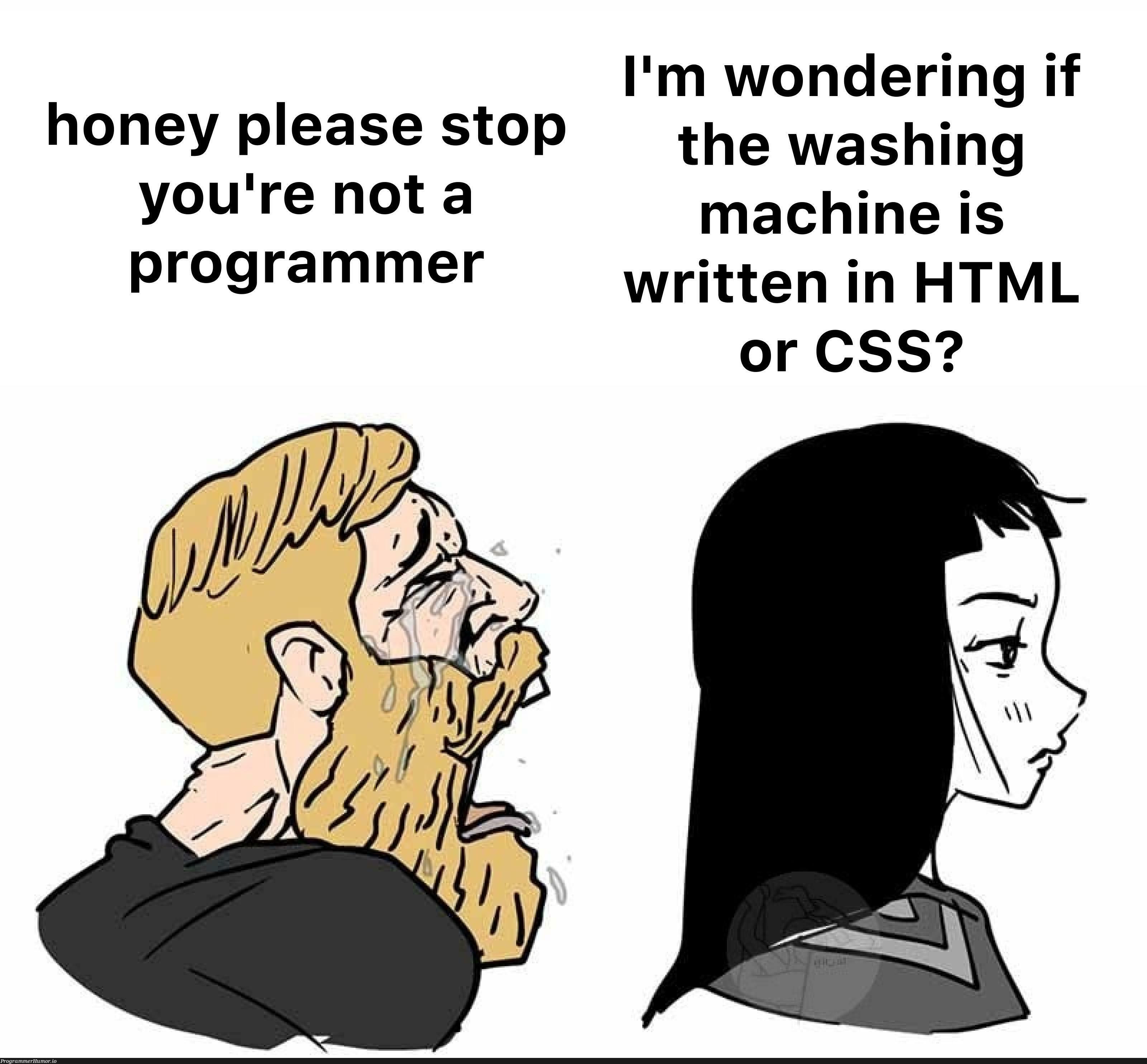 imWondering | programmer-memes, html-memes, css-memes, program-memes, machine-memes, mac-memes, ML-memes, cs-memes | ProgrammerHumor.io