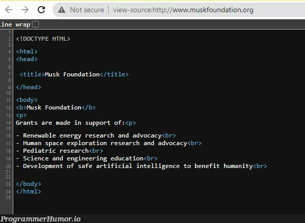 The entire website of www.muskfoundation.org - A $10,000,000,000 company. | html-memes, development-memes, web-memes, engineer-memes, website-memes, engineering-memes, search-memes, artificial intelligence-memes, ML-memes, space-memes | ProgrammerHumor.io