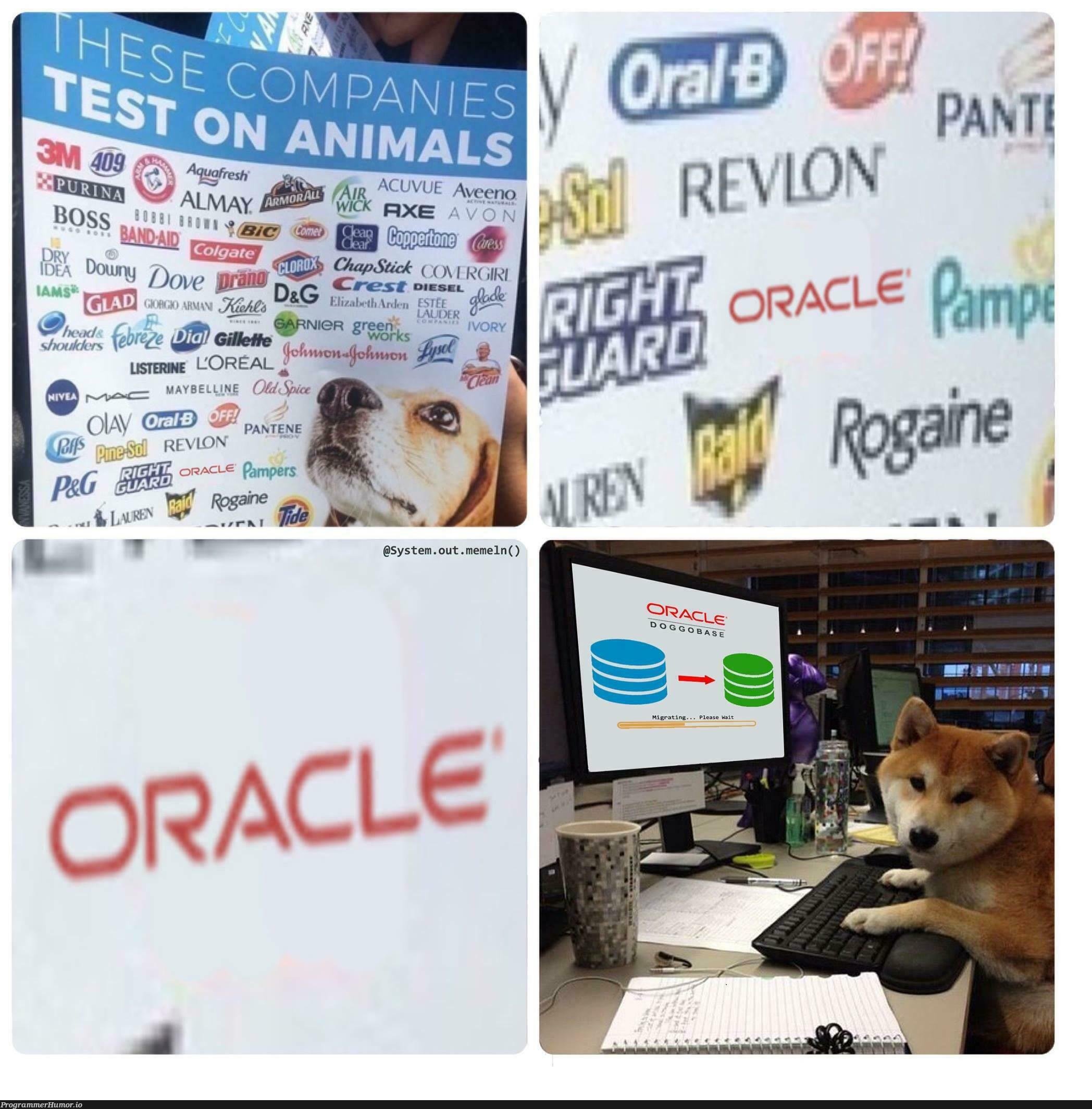 Didn’t think Oracle was that bad | oracle-memes, vue-memes | ProgrammerHumor.io