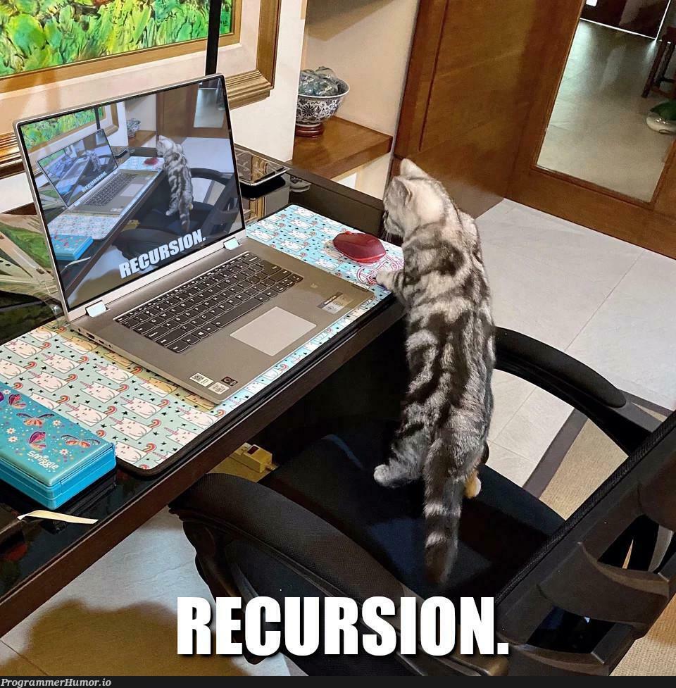 recursion | recursion-memes | ProgrammerHumor.io