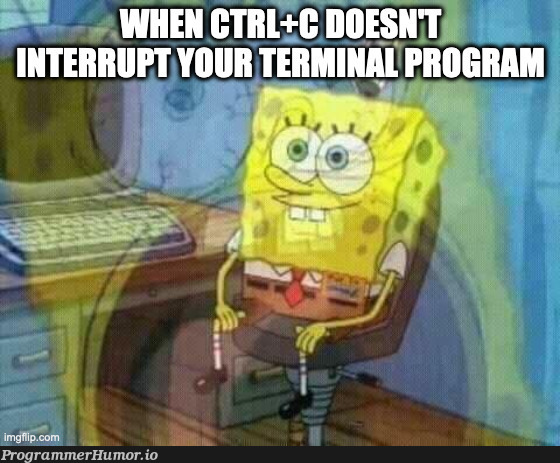 Uh-oh... | program-memes, terminal-memes | ProgrammerHumor.io