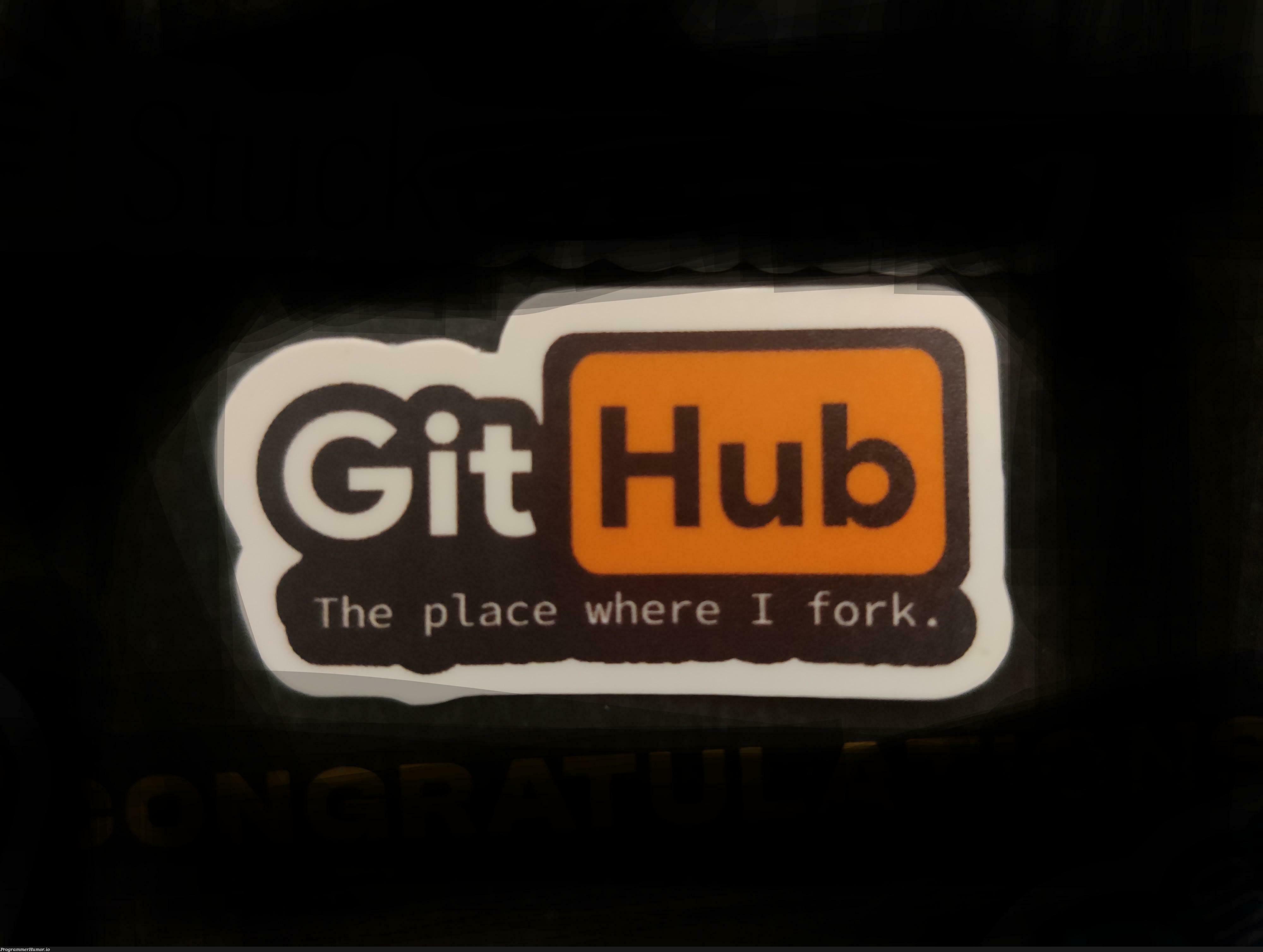 The place where I fork. | fork-memes | ProgrammerHumor.io