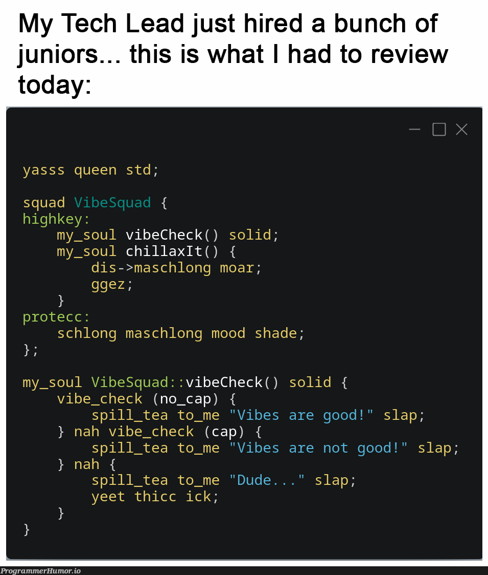 genZBrogrammersBeLike | tech-memes | ProgrammerHumor.io