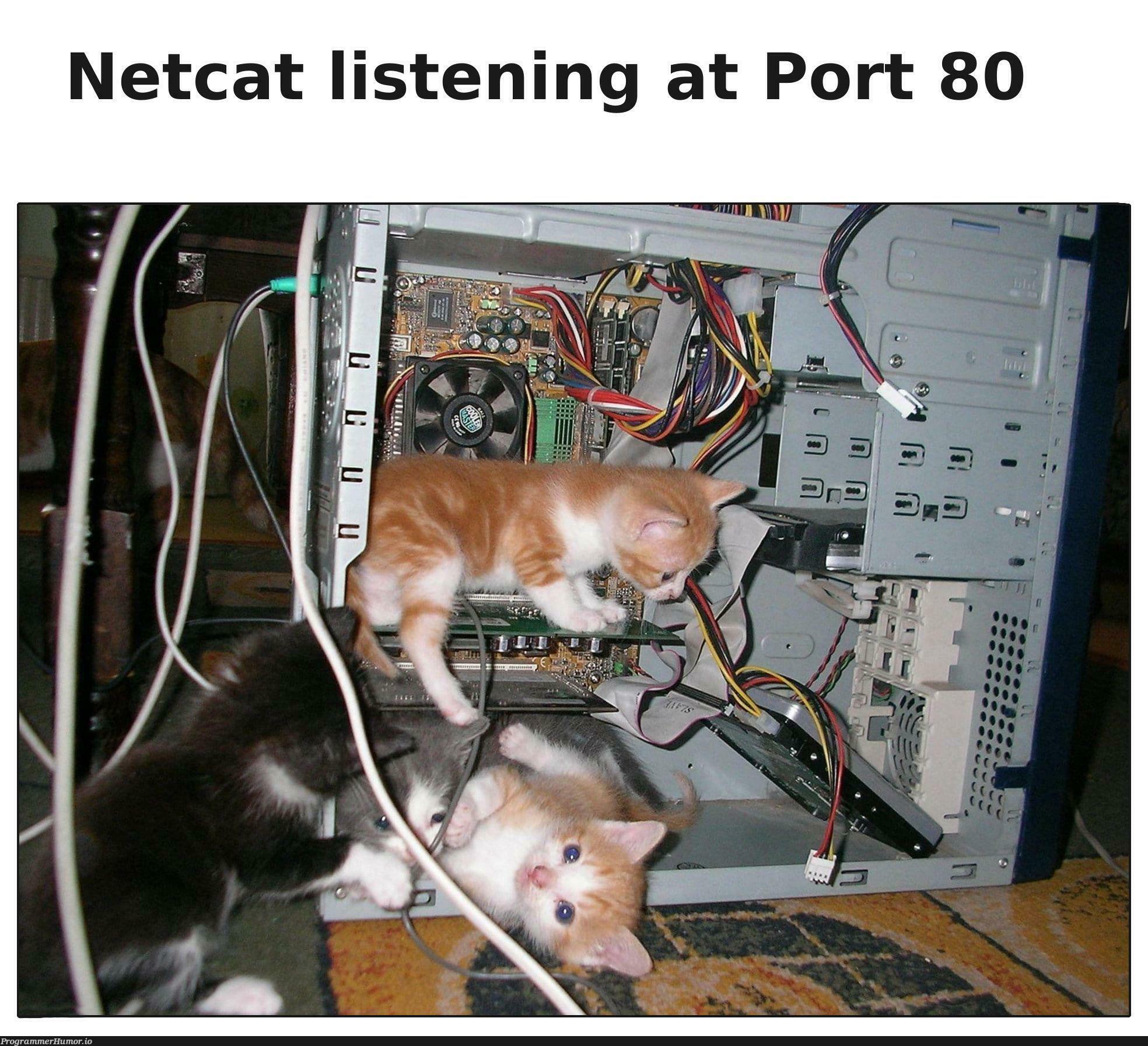 netcatListeningAtPort80 | list-memes | ProgrammerHumor.io