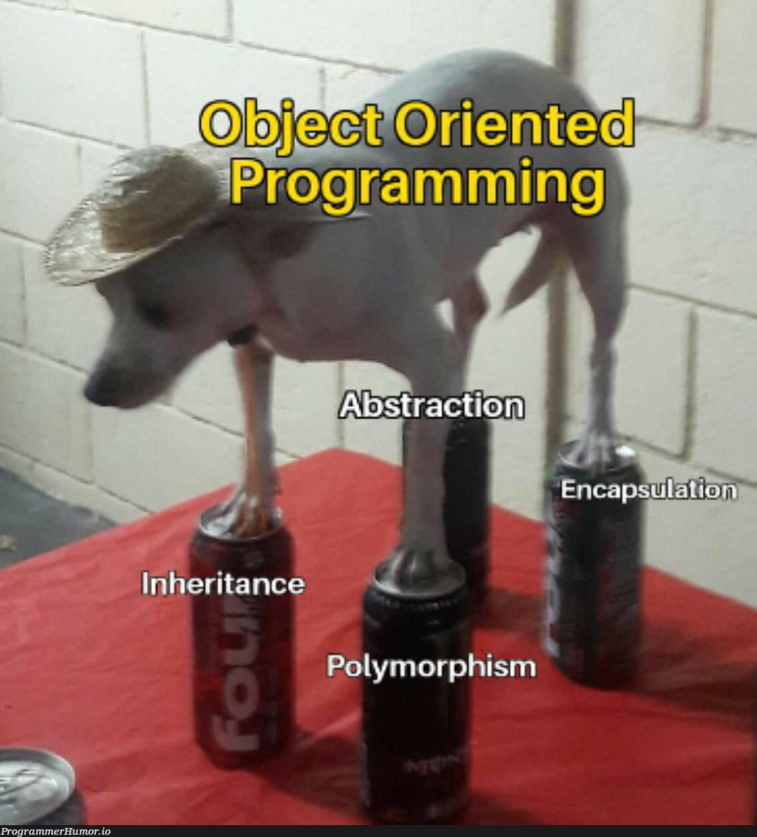 oopMasterclass | programming-memes, program-memes, class-memes, oop-memes, c-memes | ProgrammerHumor.io