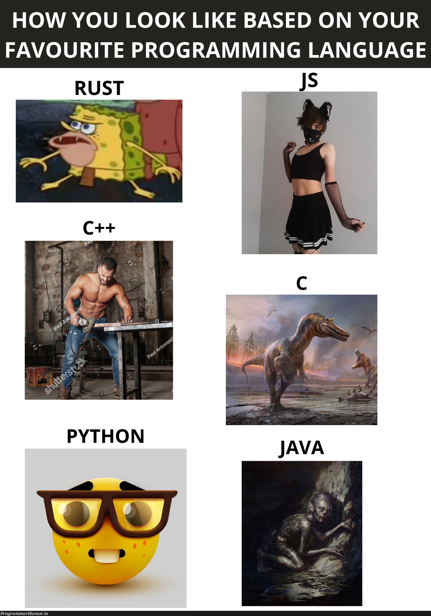 How you look like based on your favourite programming language | programming-memes, program-memes, language-memes, programming language-memes | ProgrammerHumor.io