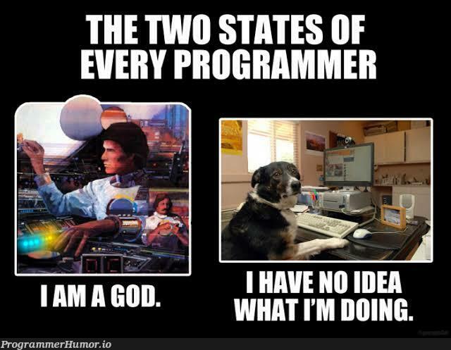 two states | programmer-memes, program-memes | ProgrammerHumor.io