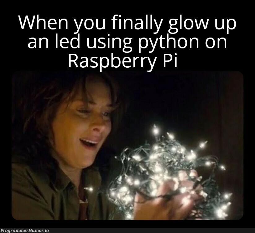 Embedded Systems here I come | python-memes | ProgrammerHumor.io