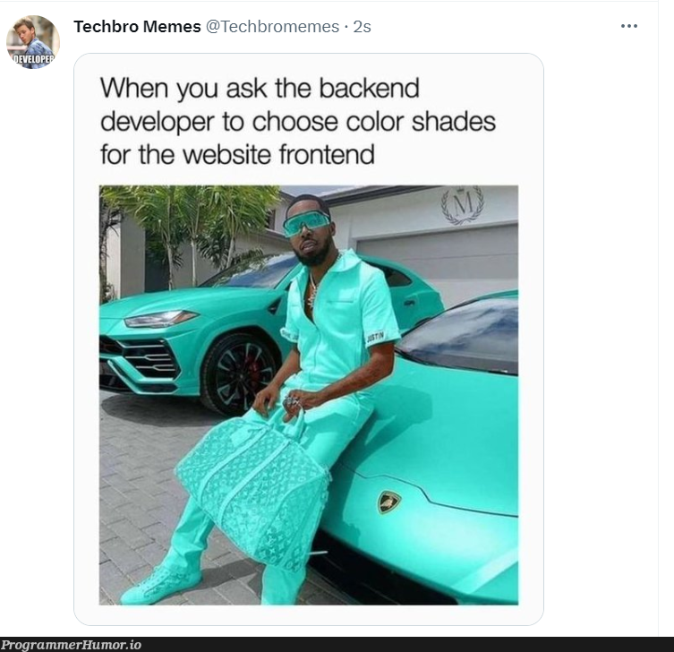 When you ask backend developer to choose color shades for the website frontend | developer-memes, tech-memes, web-memes, website-memes, backend-memes, frontend-memes | ProgrammerHumor.io