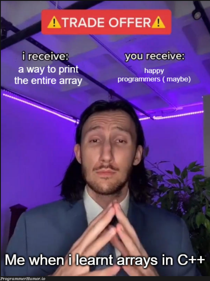 Seriously tho why cant you print the entire array | programmer-memes, program-memes, array-memes, arrays-memes, c++-memes | ProgrammerHumor.io