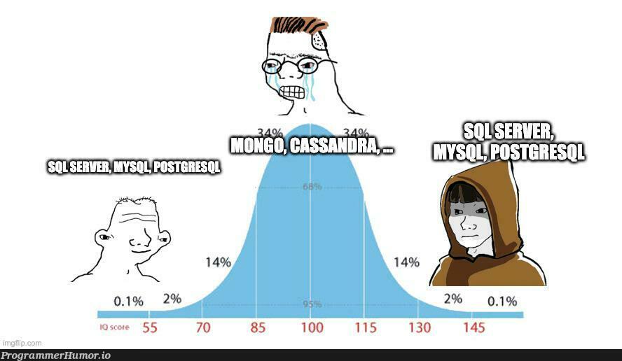 databasesAreCoolArentThey | data-memes, database-memes | ProgrammerHumor.io