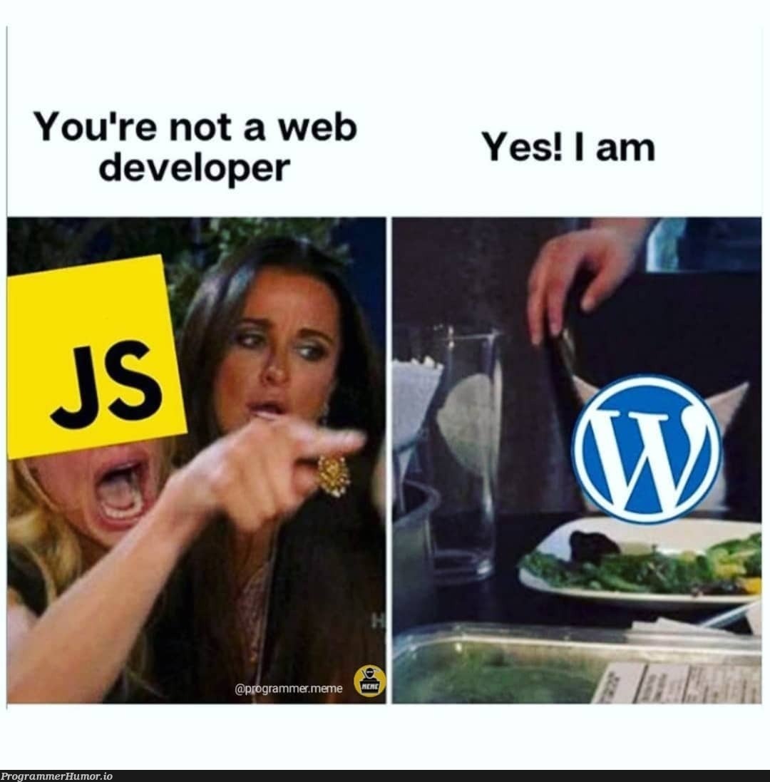 Am I...? | developer-memes, web developer-memes, web-memes | ProgrammerHumor.io