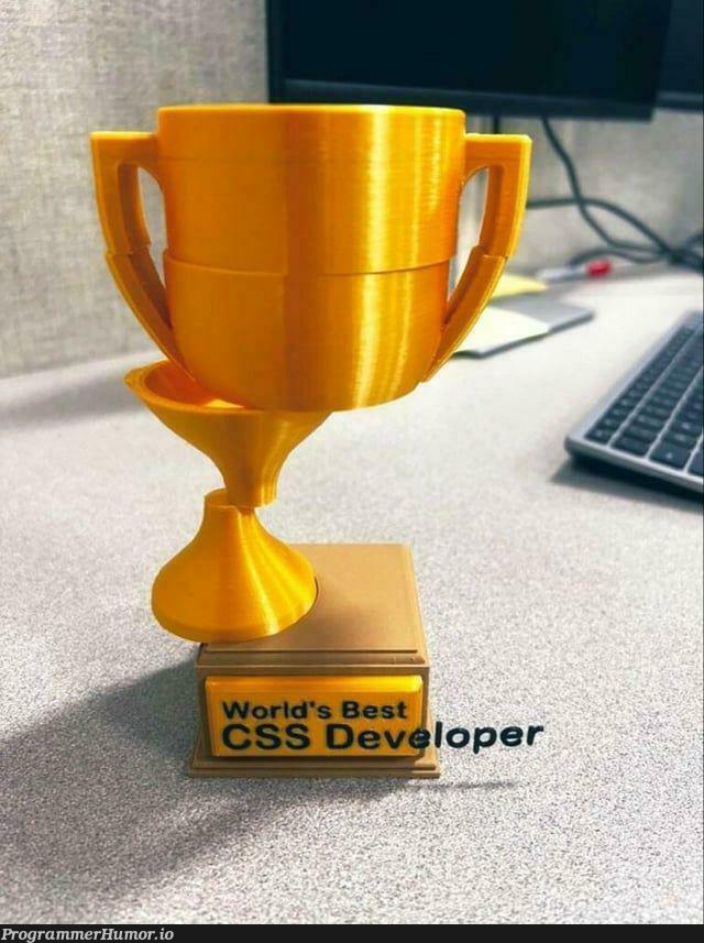 bestCssDev | css-memes, cs-memes | ProgrammerHumor.io