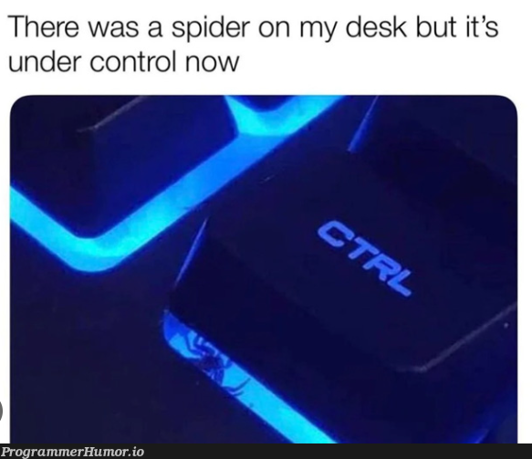 It's fine he's just a web developer | developer-memes, web developer-memes, web-memes, ide-memes | ProgrammerHumor.io