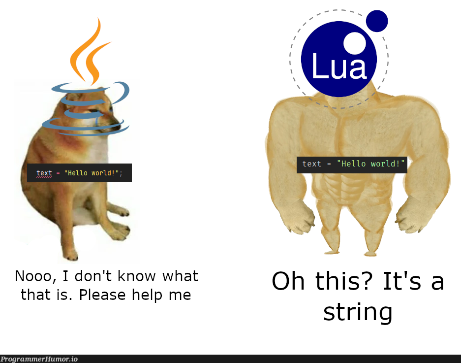 Made by a Lua programmer who just dipped their toe into Java | programmer-memes, java-memes, program-memes, string-memes | ProgrammerHumor.io