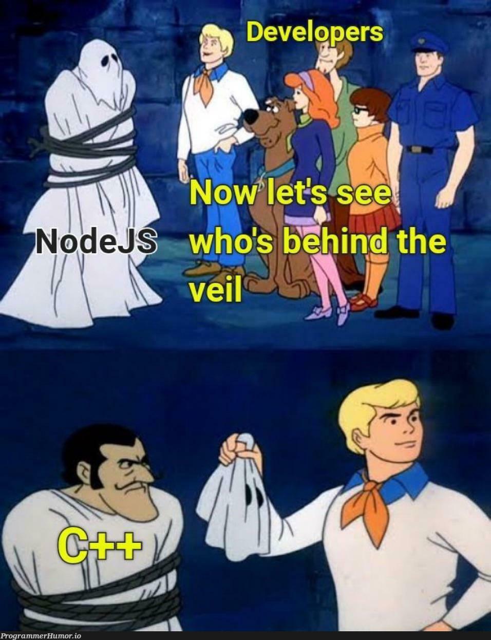 whoIsPuttingOnTheNodeJSVeil | node-memes, nodejs-memes | ProgrammerHumor.io