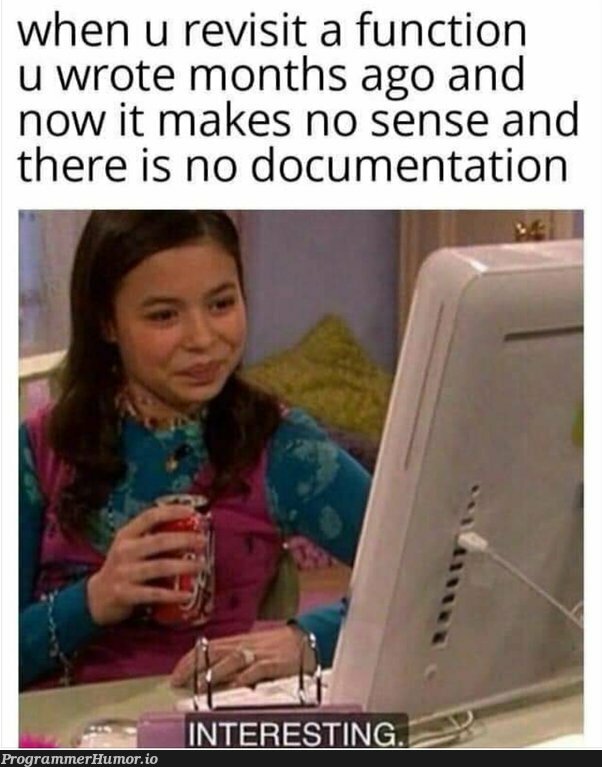 Anyone else? | function-memes, IT-memes, documentation-memes | ProgrammerHumor.io