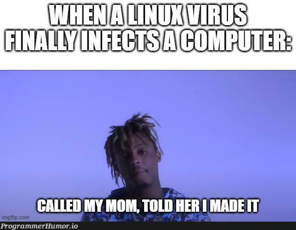 itMadeIt | virus-memes | ProgrammerHumor.io