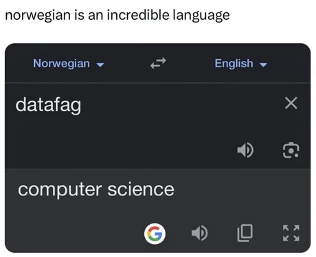 datafag | computer-memes, computer science-memes, data-memes, language-memes | ProgrammerHumor.io