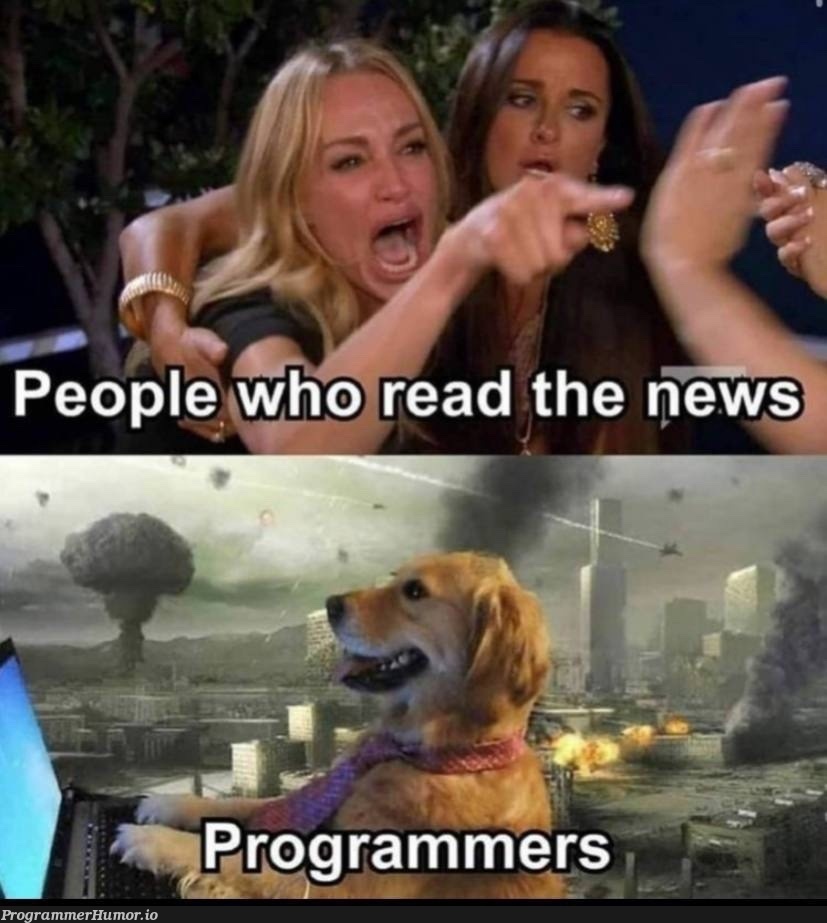 Lately just like doggi | ProgrammerHumor.io