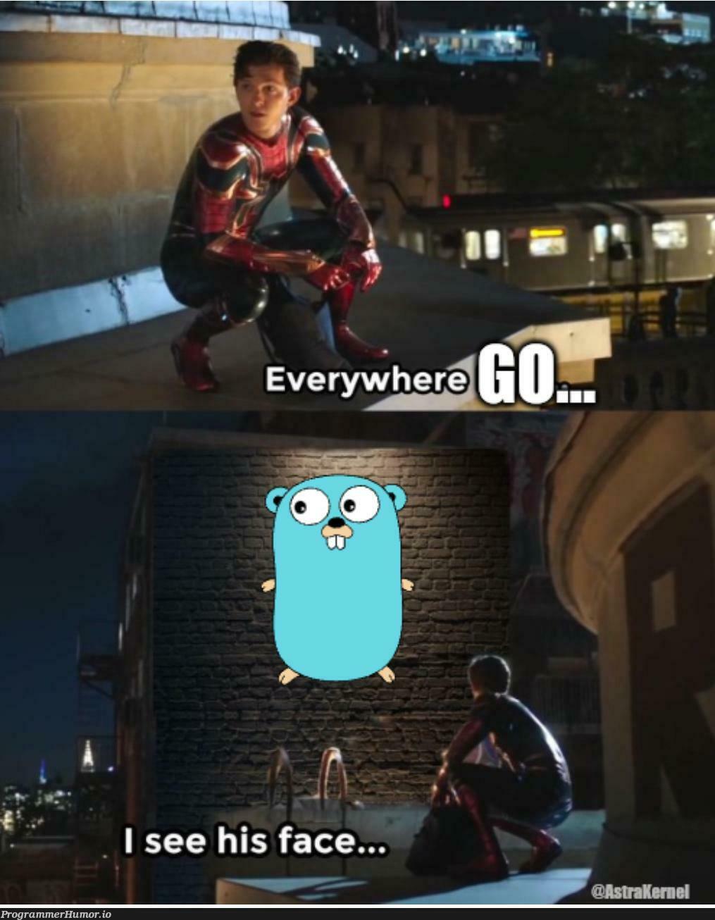 everywhereGoISeeGopher | ProgrammerHumor.io