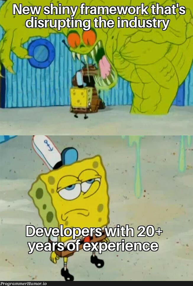 Developers with 20+ years of experience already know the drill | developer-memes | ProgrammerHumor.io