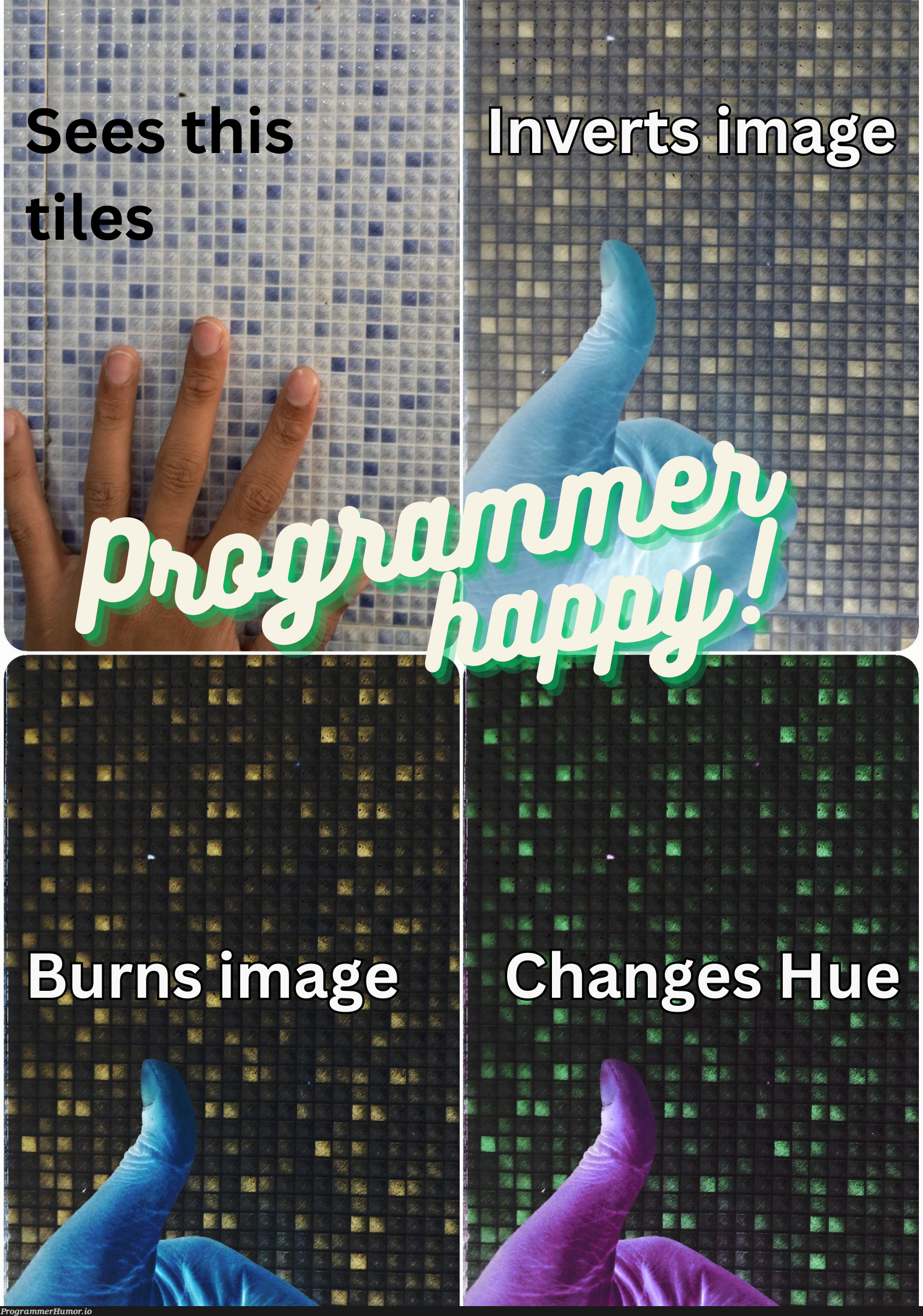 programmersAreSimpleCreatures | programmer-memes, program-memes | ProgrammerHumor.io