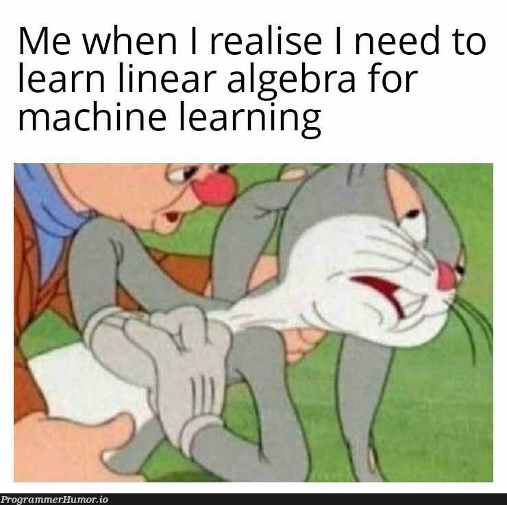 mathsAndML | machine learning-memes, machine-memes, mac-memes, ML-memes | ProgrammerHumor.io