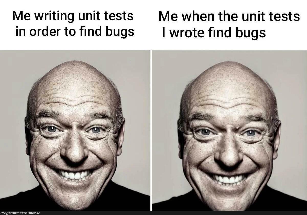 iWantToDebug | bugs-memes, test-memes, bug-memes, unit test-memes, debug-memes, tests-memes | ProgrammerHumor.io