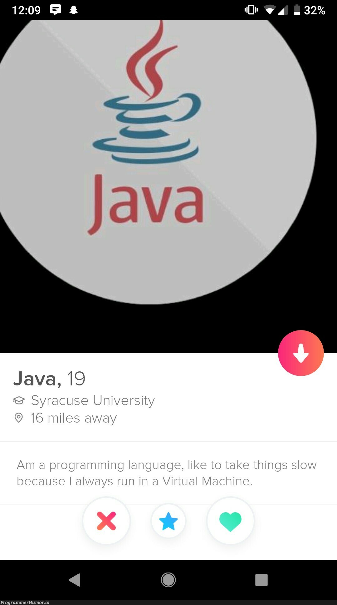 Found this on tinder | java-memes, tinder-memes | ProgrammerHumor.io