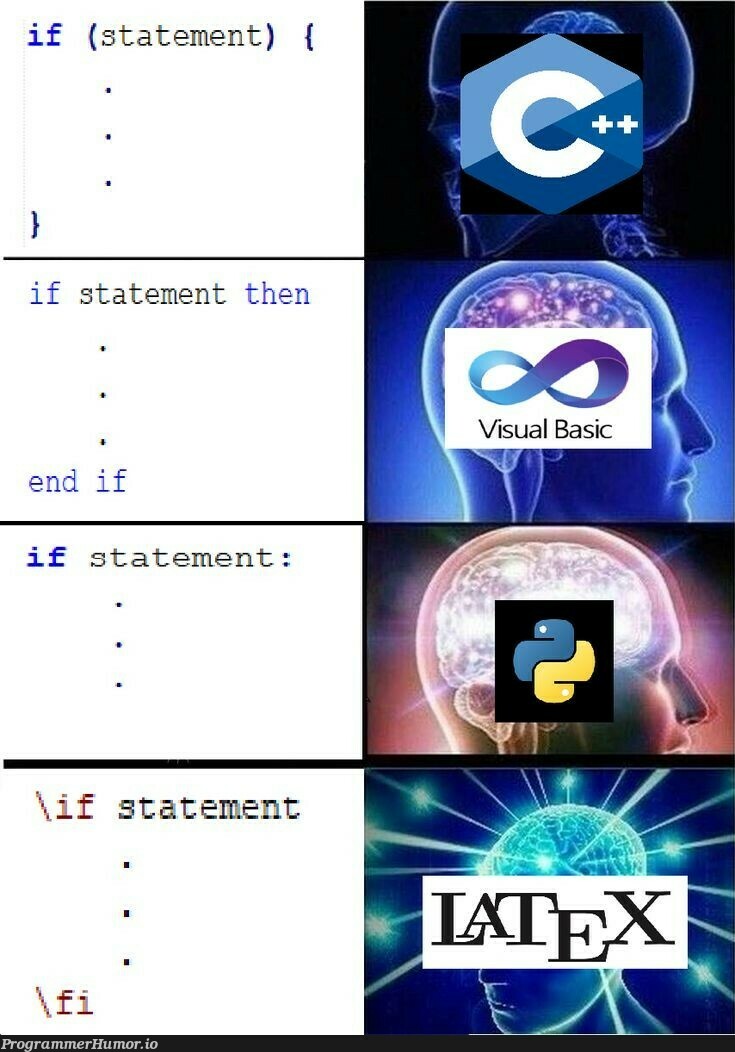 🗿💥 | if statement-memes | ProgrammerHumor.io