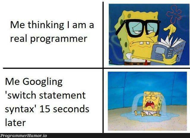 sadButTrue | programmer-memes, program-memes | ProgrammerHumor.io