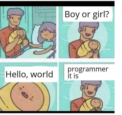 helloTechBro | programmer-memes, tech-memes, program-memes | ProgrammerHumor.io