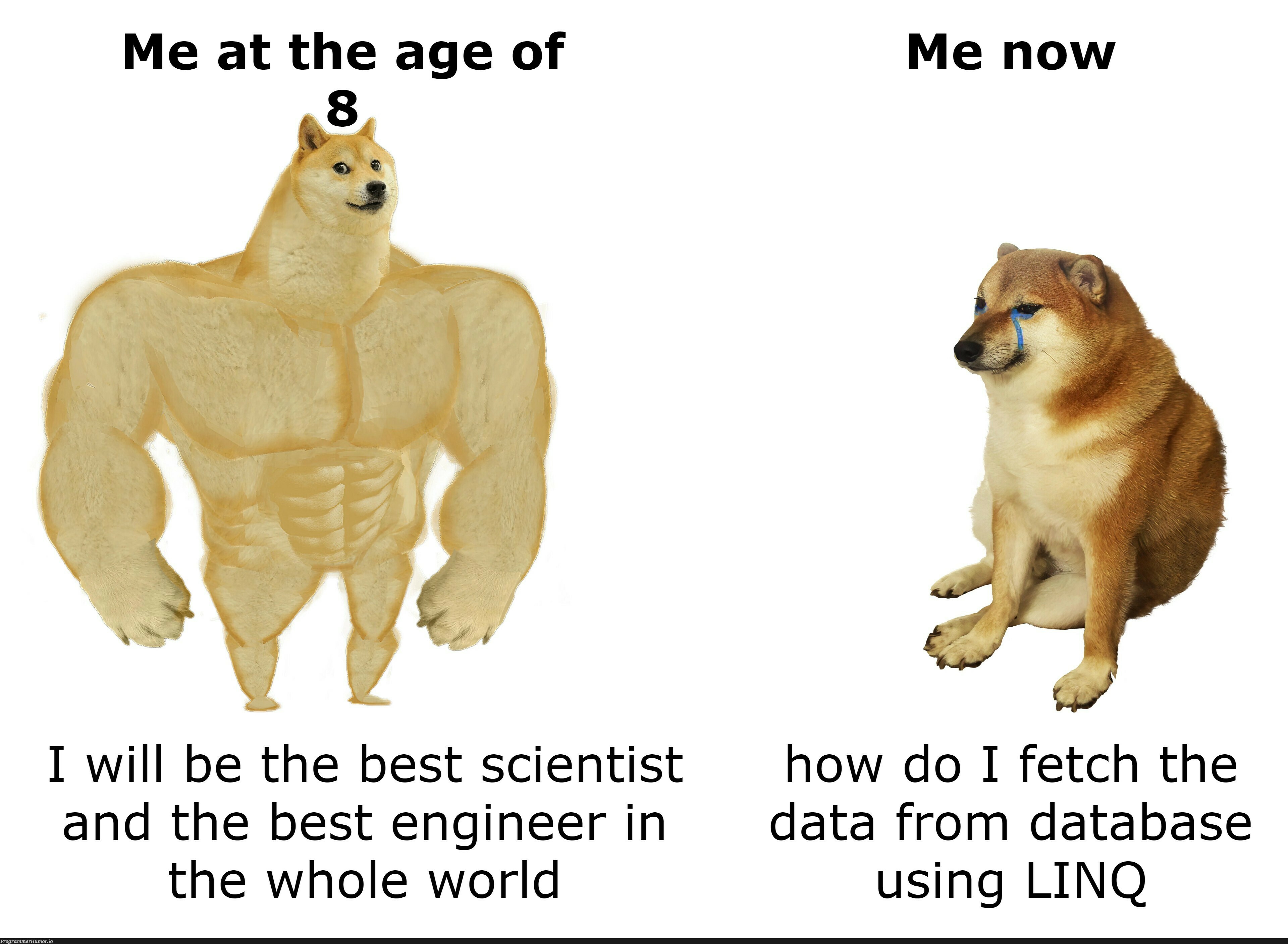 i am new to this | engineer-memes, data-memes, database-memes, linq-memes | ProgrammerHumor.io