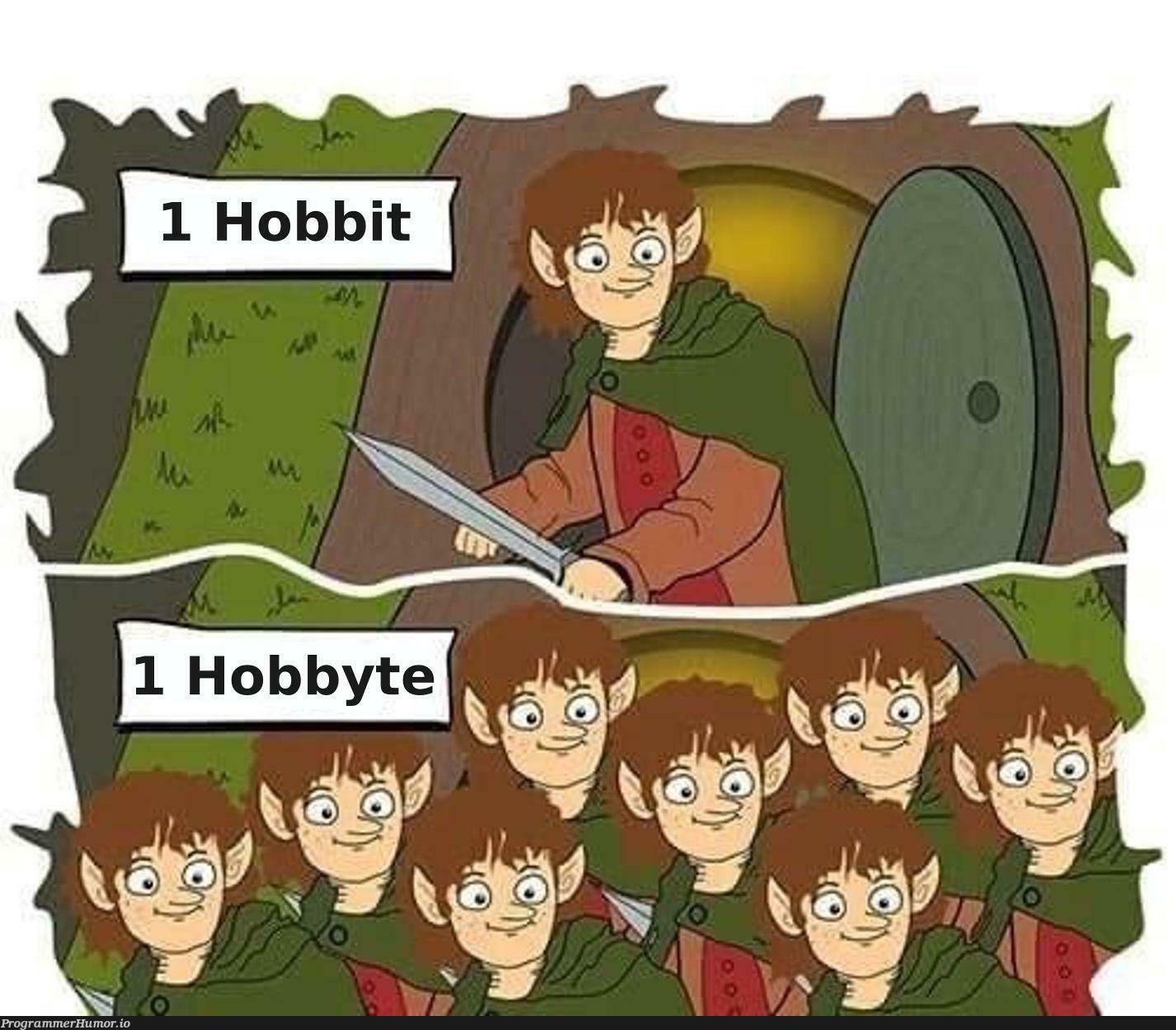 hobbitAndHobbyte | ProgrammerHumor.io