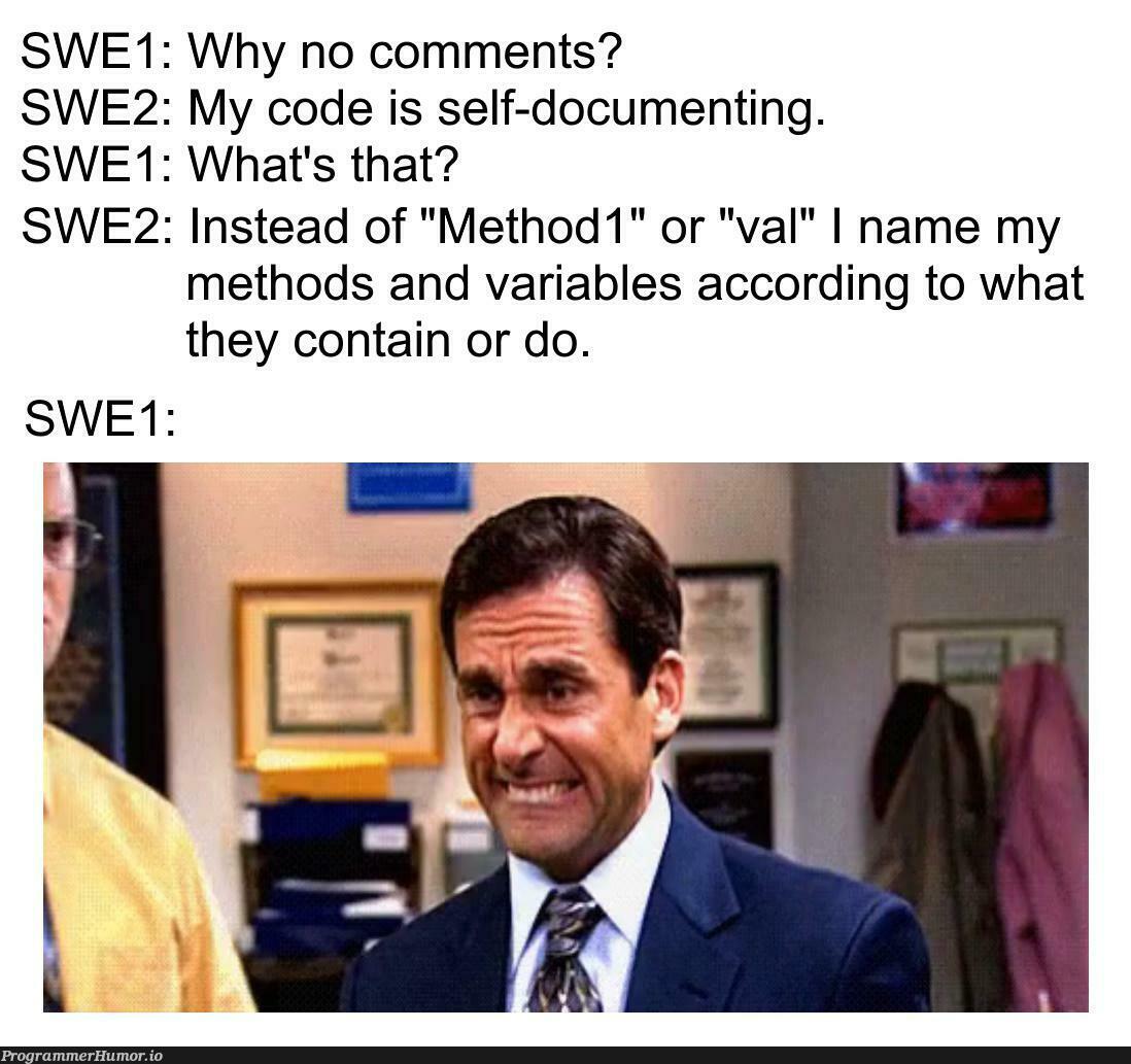 Self-documenting code | code-memes, variables-memes, comment-memes | ProgrammerHumor.io