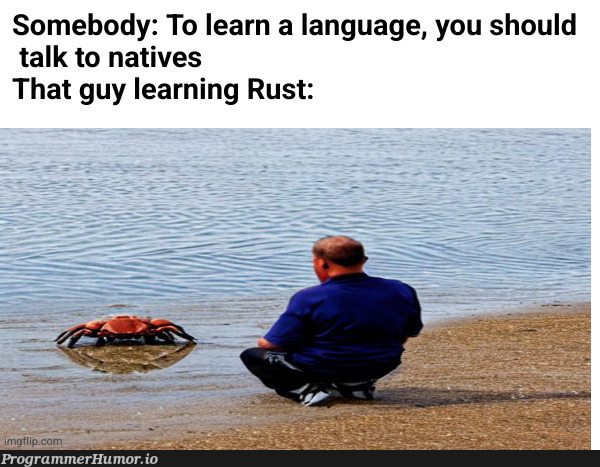 learnRust | language-memes, rust-memes | ProgrammerHumor.io