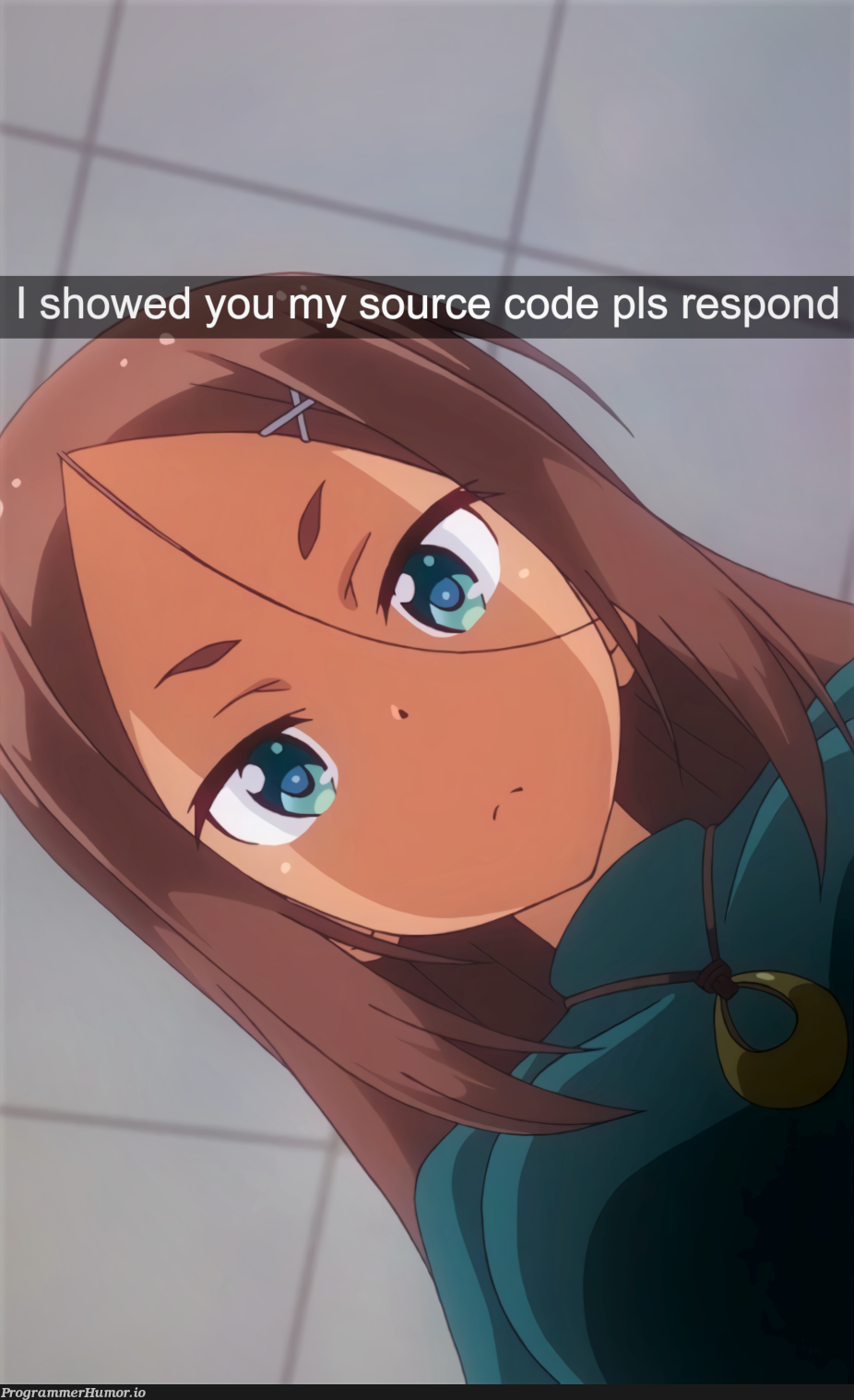 Chief Programmer left on read | programmer-memes, code-memes, program-memes, source code-memes | ProgrammerHumor.io