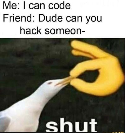 canYouHackSomeon | ProgrammerHumor.io