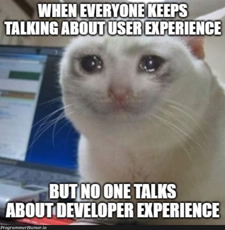 developerExperience | developer-memes | ProgrammerHumor.io