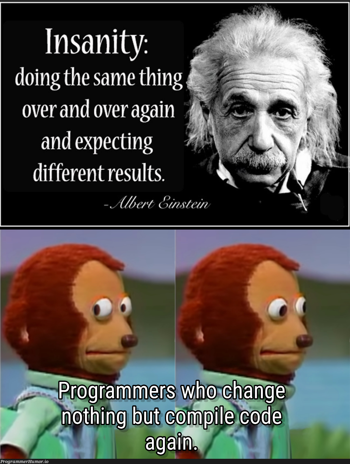 I guess I'm insane ¯_(ツ)_/¯ | ProgrammerHumor.io