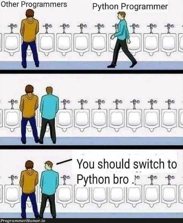 youShouldSwitchToPythonBro | programmer-memes, python-memes, program-memes | ProgrammerHumor.io