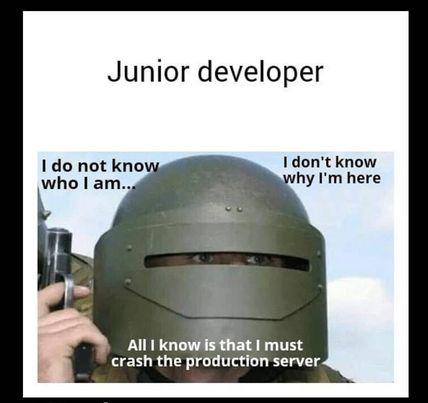 juniorDeveloper | developer-memes, server-memes, production-memes, crash-memes, product-memes | ProgrammerHumor.io