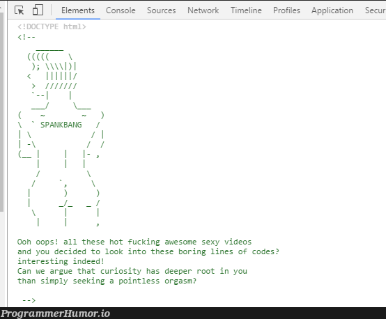 So I did an "Inspect Element" in an Adult Website... | code-memes, web-memes, website-memes, lines of code-memes, ios-memes, rest-memes, oop-memes, network-memes, ide-memes, console-memes | ProgrammerHumor.io