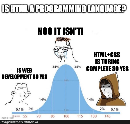 turingComplete | html-memes, css-memes, ML-memes, cs-memes | ProgrammerHumor.io