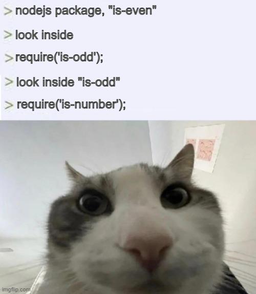 nodeJsWhy | node-memes, nodejs-memes, ide-memes | ProgrammerHumor.io