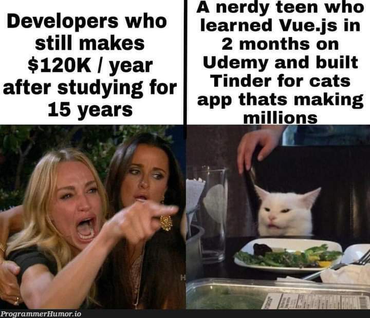 old but gold | developer-memes, tinder-memes, vue-memes | ProgrammerHumor.io