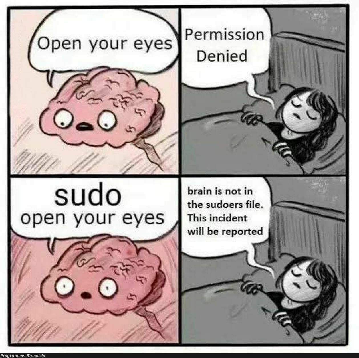 sudoSudoSudooooo | sudo-memes, ide-memes | ProgrammerHumor.io