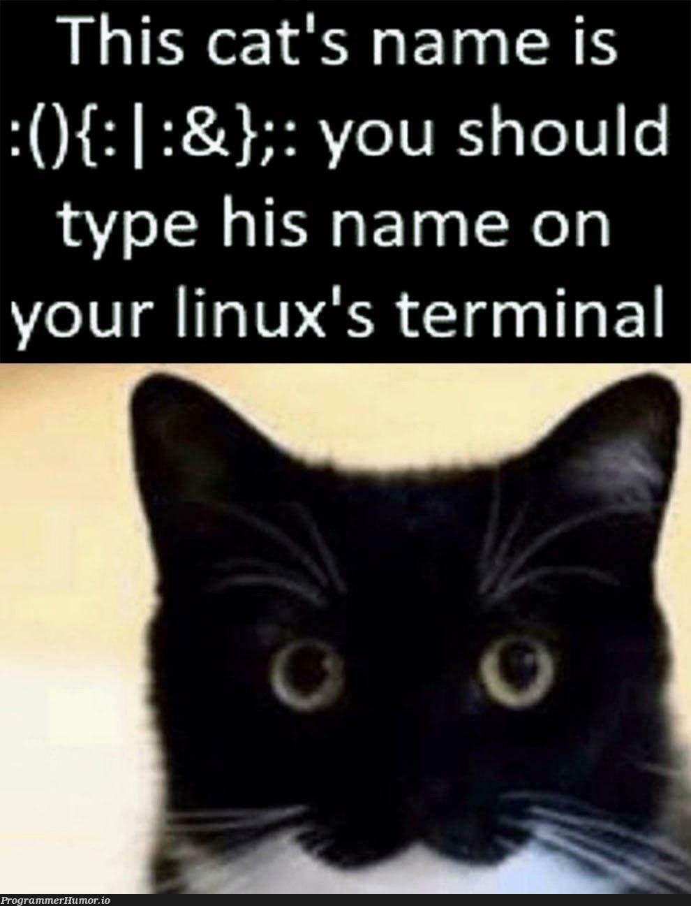 typeIt | linux-memes, ux-memes, terminal-memes | ProgrammerHumor.io