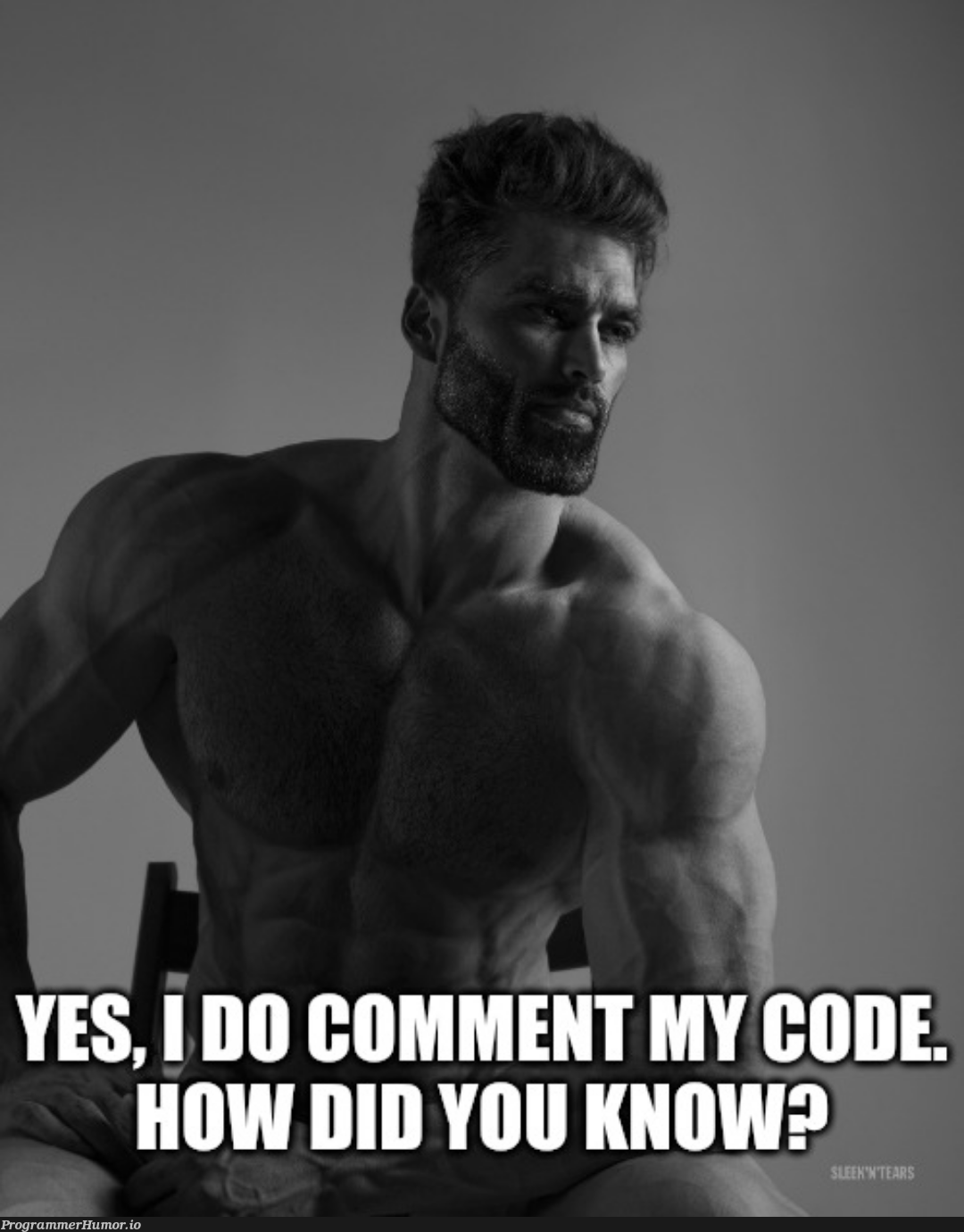 The best type of programmer | programmer-memes, program-memes | ProgrammerHumor.io